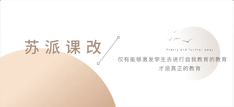 苏派课改