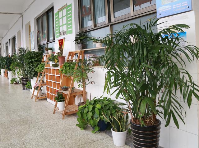 优秀班风学风打造标准示范，小组合作学习实操教材案例
